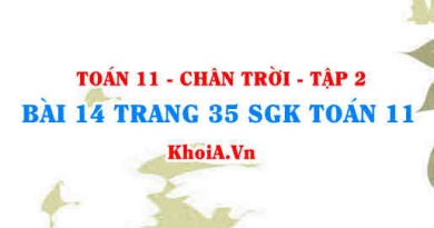 Bài 14 trang 35 Toán 11 Tập 2 Chân trời sáng tạo